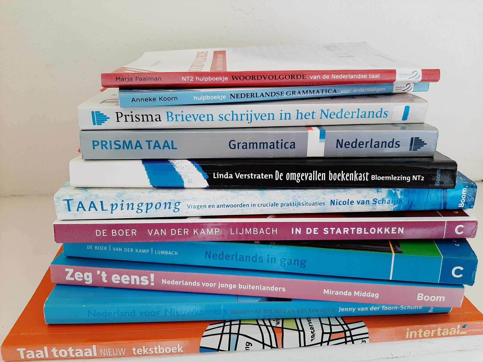 Privé Nederlandse taalles